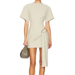 Lioness dress from revolve